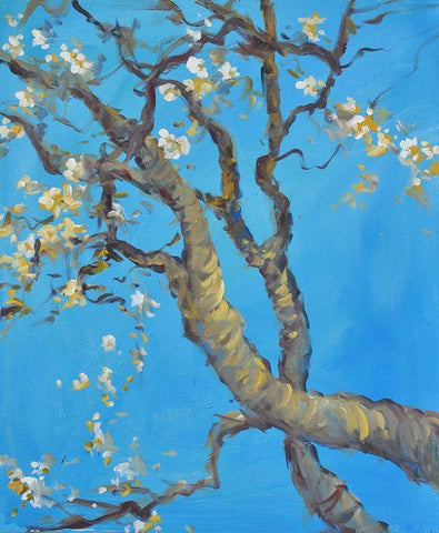 Cherry Blossom -1 White Modern Wood Framed Art Print with Double Matting by Stevens, Allayn