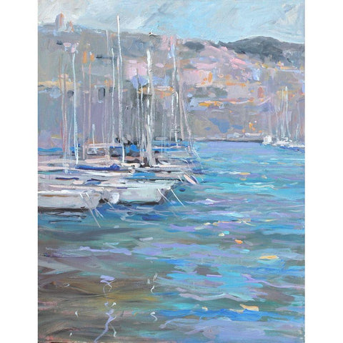 Marina Black Modern Wood Framed Art Print with Double Matting by Stevens, Allayn