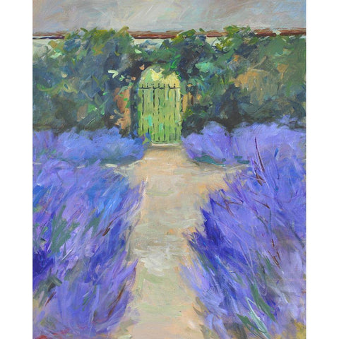 Lavender Gate White Modern Wood Framed Art Print by Stevens, Allayn