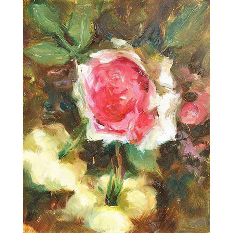 Still Life #5 Black Modern Wood Framed Art Print by Stevens, Allayn