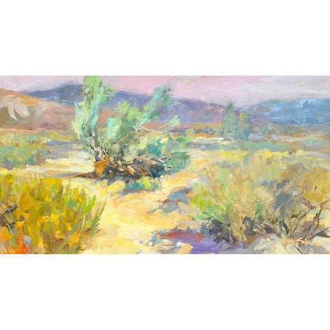 Desert Garden Black Modern Wood Framed Art Print by Stevens, Allayn
