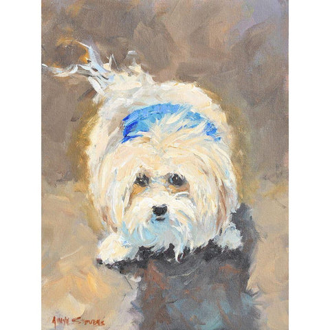 Lucky White Modern Wood Framed Art Print by Stevens, Allayn