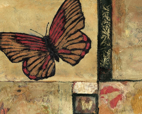 Butterfly in Red Black Ornate Wood Framed Art Print with Double Matting by Bagnato, Judi