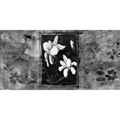 Spring Paradise 2 Black Modern Wood Framed Art Print with Double Matting by Bagnato, Judi