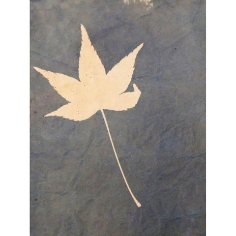 Lone Leaf Black Modern Wood Framed Art Print with Double Matting by Blue