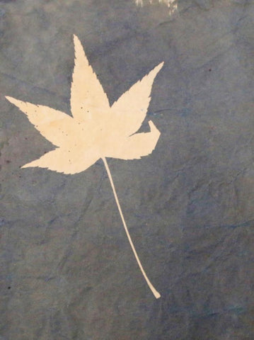 Lone Leaf White Modern Wood Framed Art Print with Double Matting by Blue
