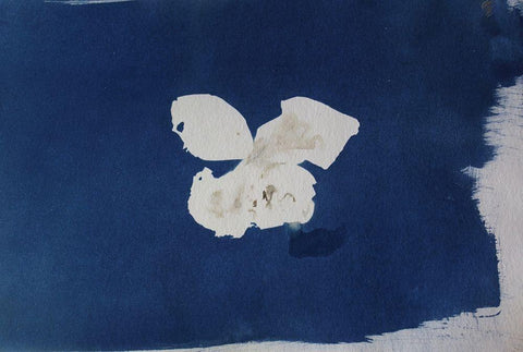 White Flower White Modern Wood Framed Art Print with Double Matting by Blue