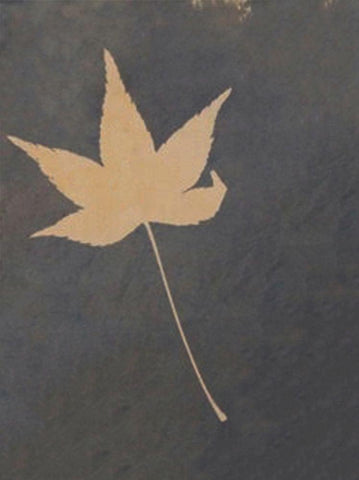 Lone Leaf Black Ornate Wood Framed Art Print with Double Matting by Blue