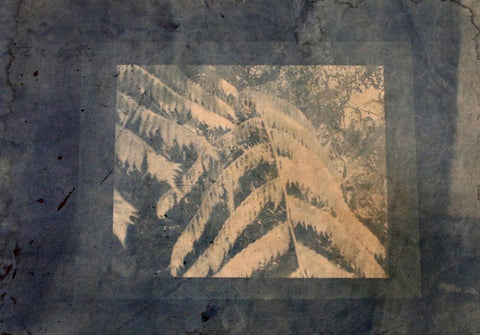 Ferns Framed White Modern Wood Framed Art Print with Double Matting by Blue