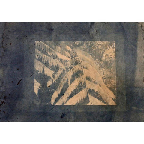 Ferns Framed Black Modern Wood Framed Art Print by Blue