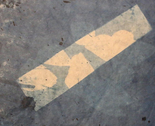 Image Only