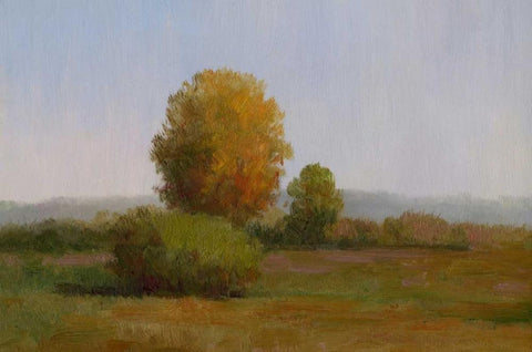 Tree in the Sun II Black Ornate Wood Framed Art Print with Double Matting by Chin, Art