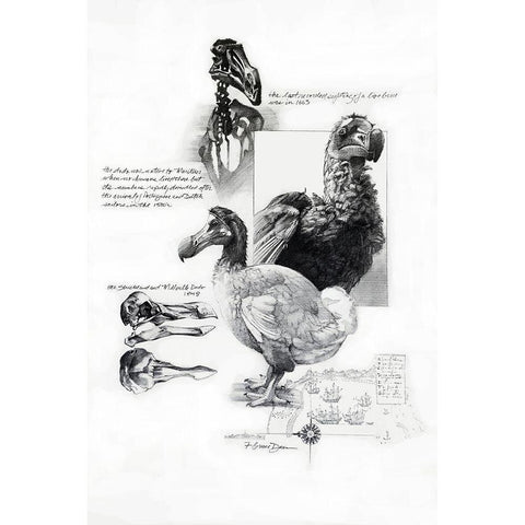Dodo Black Modern Wood Framed Art Print by Dean, Bruce