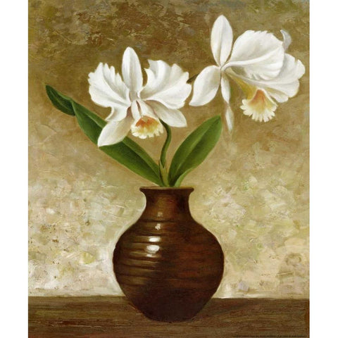 Flowering Orchid Black Modern Wood Framed Art Print with Double Matting by Gaul, Charles