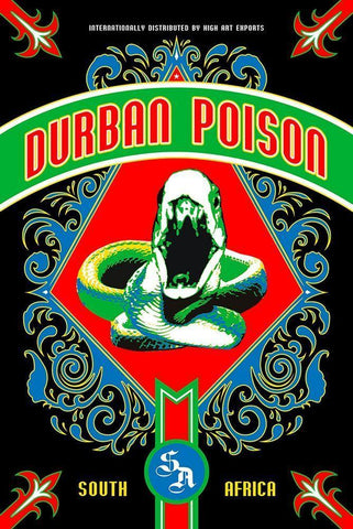 Durban Poison Black Ornate Wood Framed Art Print with Double Matting by Has