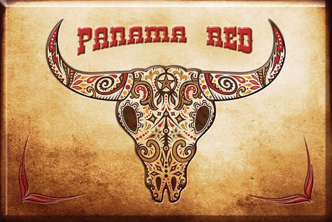 Panama Red Black Ornate Wood Framed Art Print with Double Matting by Has