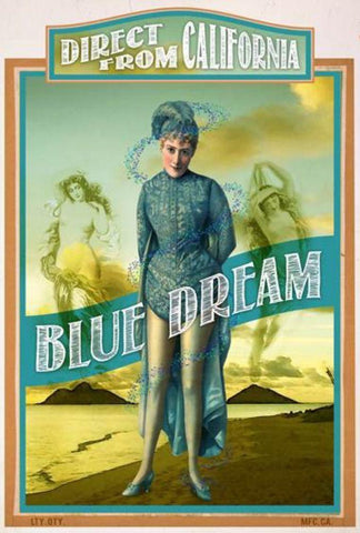 Blue Dream  Black Ornate Wood Framed Art Print with Double Matting by Has