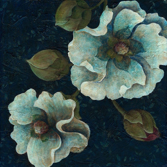 Image Only