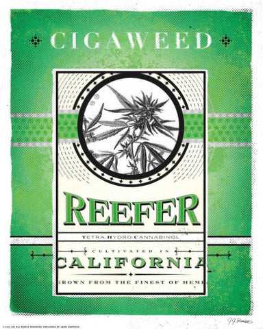 Reefer White Modern Wood Framed Art Print with Double Matting by Brando, JJ