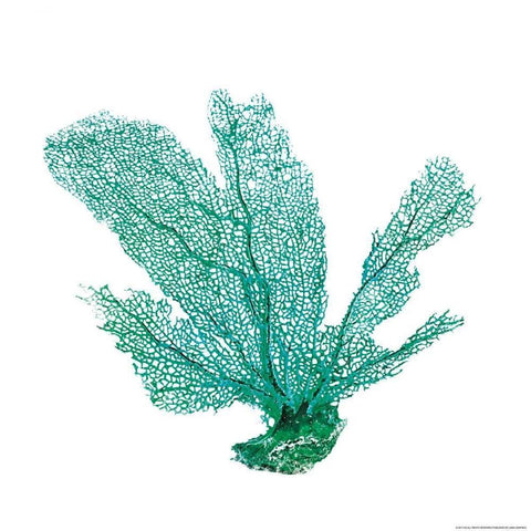 Green Sea Fan Black Modern Wood Framed Art Print by Brando, JJ