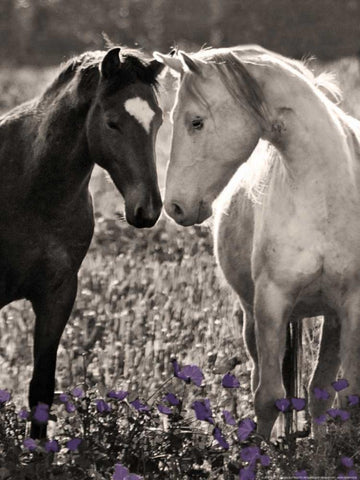 Bff Black Ornate Wood Framed Art Print with Double Matting by Linden, Sally