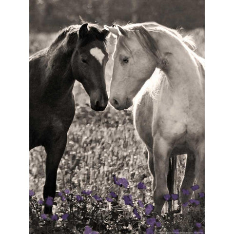 Bff White Modern Wood Framed Art Print by Linden, Sally