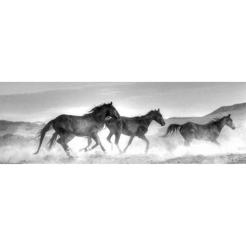 Rolling By Gold Ornate Wood Framed Art Print with Double Matting by Linden, Sally