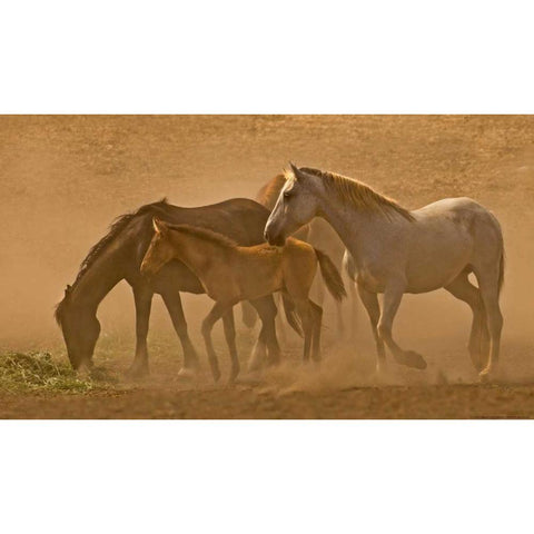 Daybreak White Modern Wood Framed Art Print by Linden, Sally