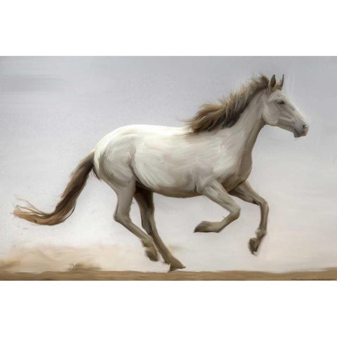 Against The Wind Black Modern Wood Framed Art Print with Double Matting by Linden, Sally