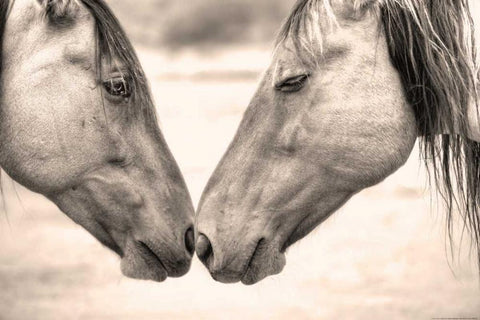 Best Friends White Modern Wood Framed Art Print with Double Matting by Linden, Sally