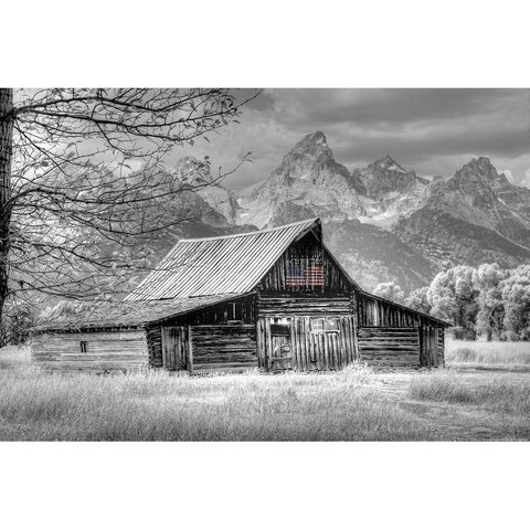 Sign of the Feather w Flag Black Modern Wood Framed Art Print with Double Matting by Linden, Sally