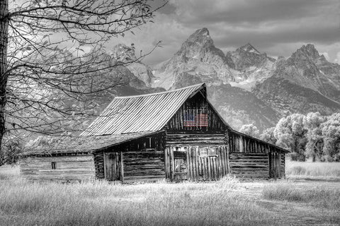 Sign of the Feather w Flag White Modern Wood Framed Art Print with Double Matting by Linden, Sally