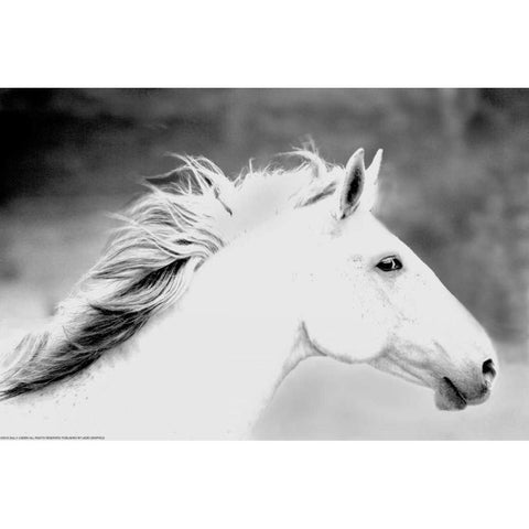 Mane In The Wind Gold Ornate Wood Framed Art Print with Double Matting by Linden, Sally