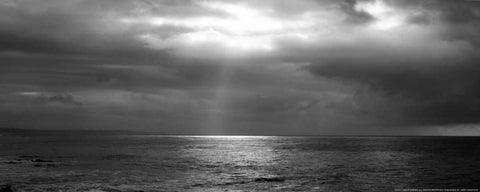 Sunbeam White Modern Wood Framed Art Print with Double Matting by Linden, Sally