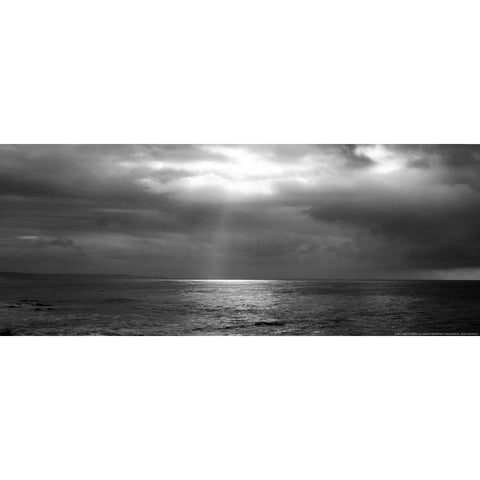 Sunbeam White Modern Wood Framed Art Print by Linden, Sally