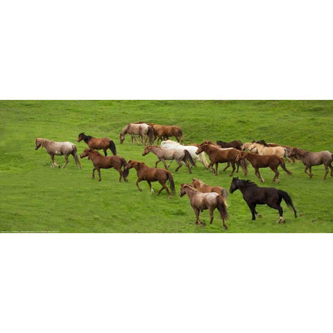 Wild Herd Gold Ornate Wood Framed Art Print with Double Matting by Linden, Sally