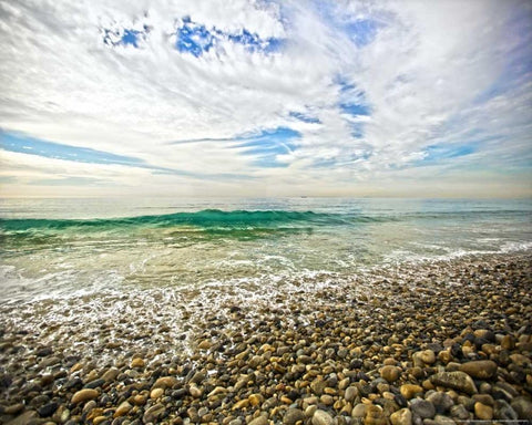 Emerald Wave Black Ornate Wood Framed Art Print with Double Matting by Linden, Sally