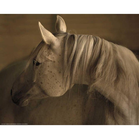 Light At Dusk White Modern Wood Framed Art Print by Linden, Sally