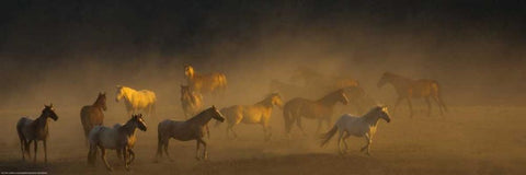 Way To Go Black Ornate Wood Framed Art Print with Double Matting by Linden, Sally