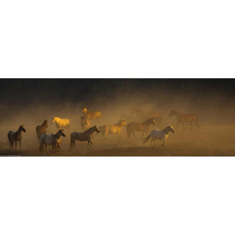 Way To Go Black Modern Wood Framed Art Print with Double Matting by Linden, Sally