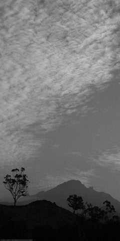 Upon the Mountain Black Ornate Wood Framed Art Print with Double Matting by Linden, Sally