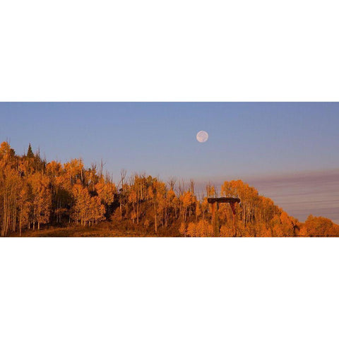 Fall Trees Moon 2 Gold Ornate Wood Framed Art Print with Double Matting by Linden, Sally