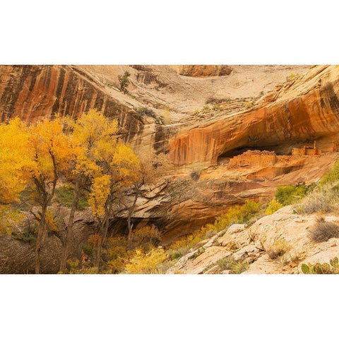 Anastzi Homeland Gold Ornate Wood Framed Art Print with Double Matting by Linden, Sally