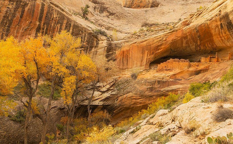 Anastzi Homeland White Modern Wood Framed Art Print with Double Matting by Linden, Sally