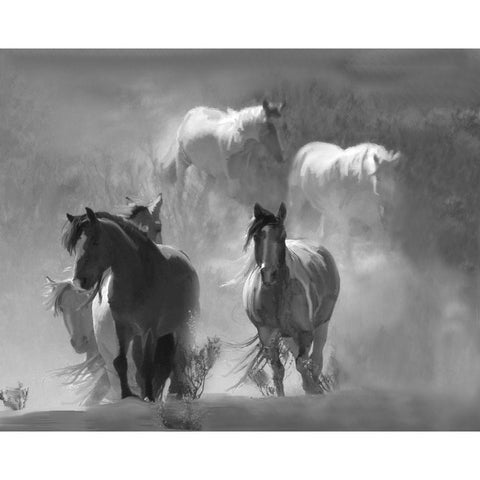 Choctaw Run Black Modern Wood Framed Art Print with Double Matting by Linden, Sally