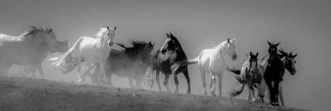 Choctaw BW White Modern Wood Framed Art Print with Double Matting by Linden, Sally