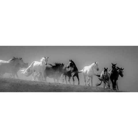 Choctaw BW Black Modern Wood Framed Art Print by Linden, Sally