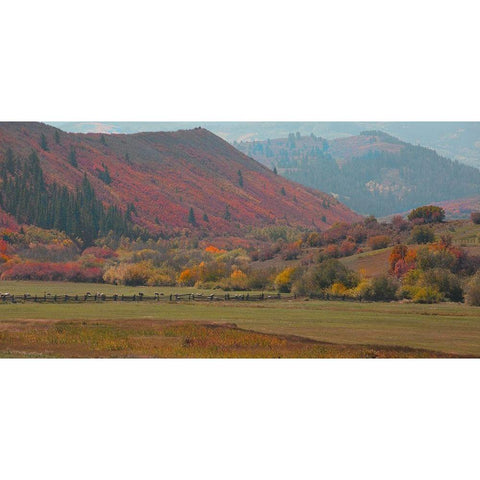 Fall and Sheep Black Modern Wood Framed Art Print by Linden, Sally