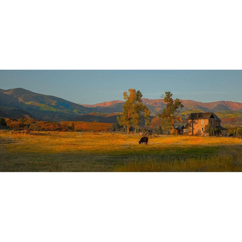 Fall Grazing Black Modern Wood Framed Art Print with Double Matting by Linden, Sally