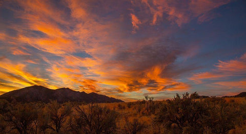 Looking At Hogbacks White Modern Wood Framed Art Print with Double Matting by Linden, Sally